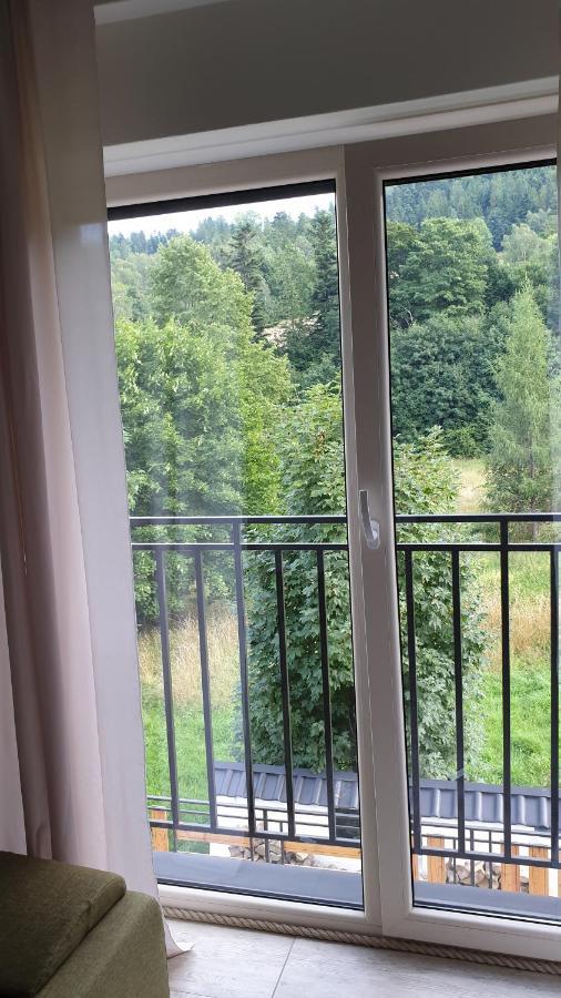 Apartamenty Doliny Щирк Экстерьер фото